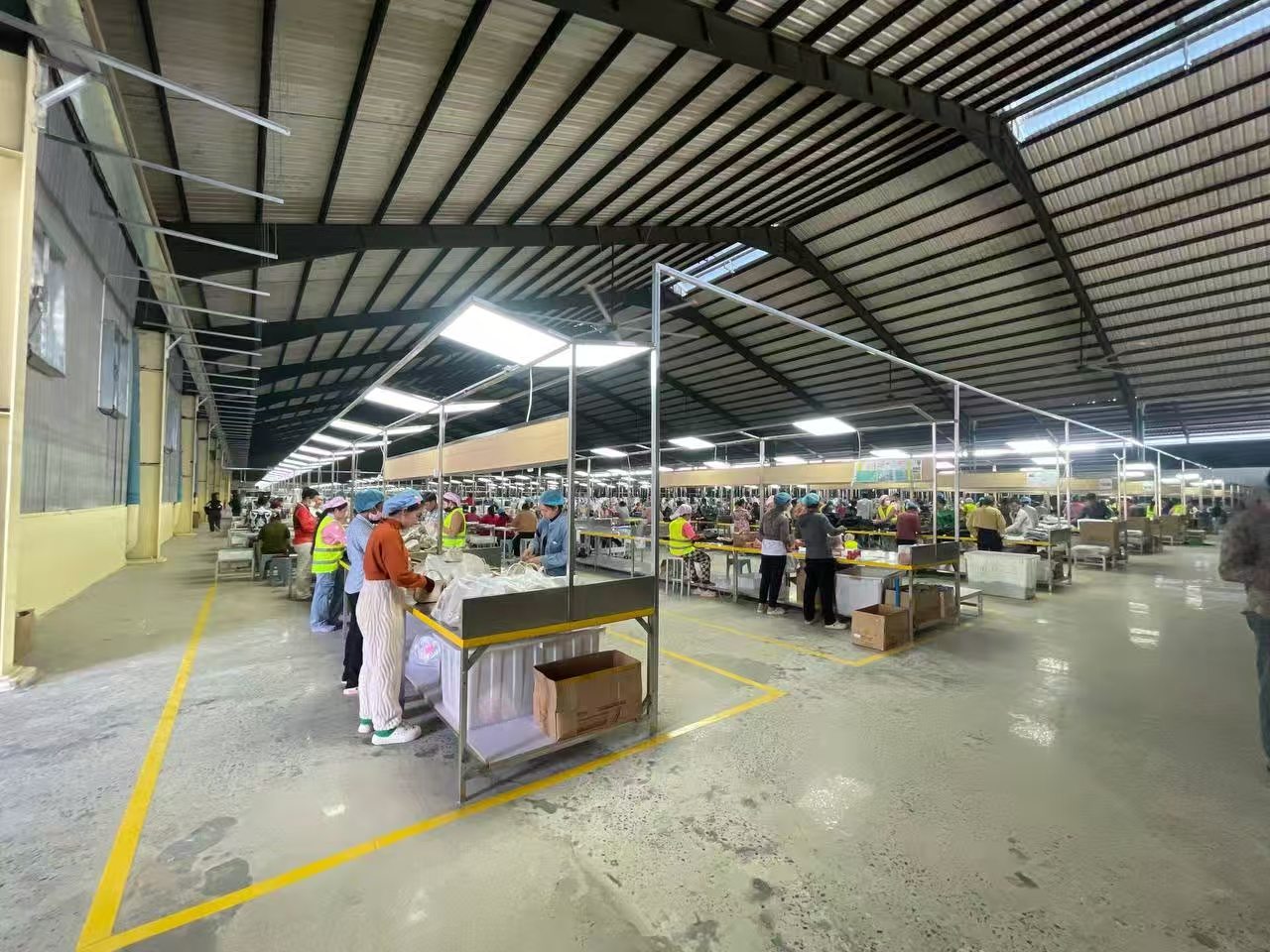 Synberry Cambodia Factory Production Line Synberry Cambodia Factory Production Line