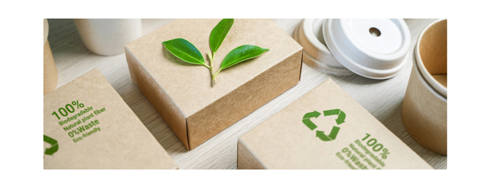 recyclable alternatives